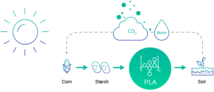 Decomposition process of PLA